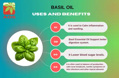 Basil Oil