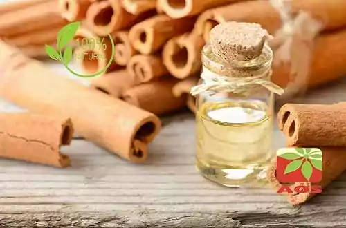 Cinnamon Bark Oil