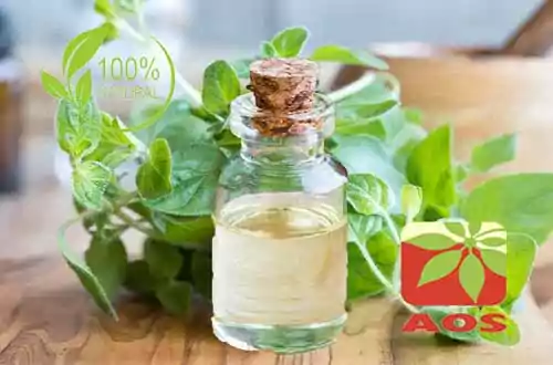 Oregano Oil