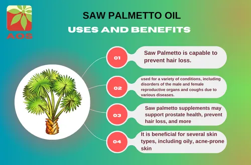 Saw Palmetto Oil Uses