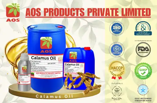 Calamus Oil