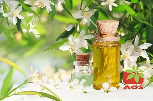 Neroli Oil