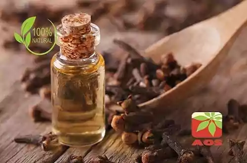 Clove Bud Oil