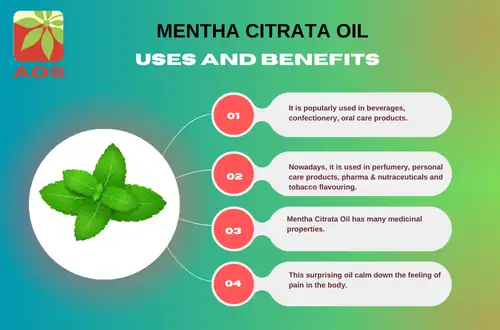 Mentha Citrata Oil