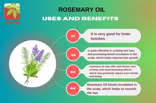 Rosemary Oil