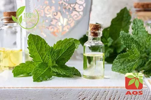 Mentha Arvensis Oil