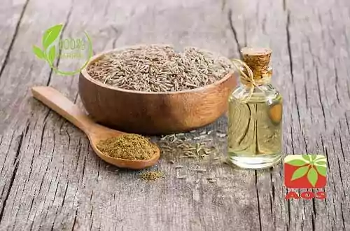 Caraway Oil