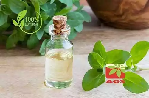 Origanum Oil