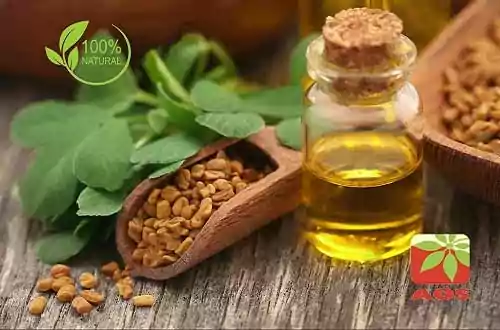 Fenugreek Seed Oil