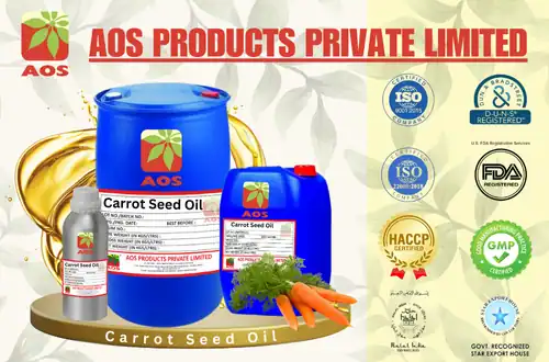 Carrot Seed Oil