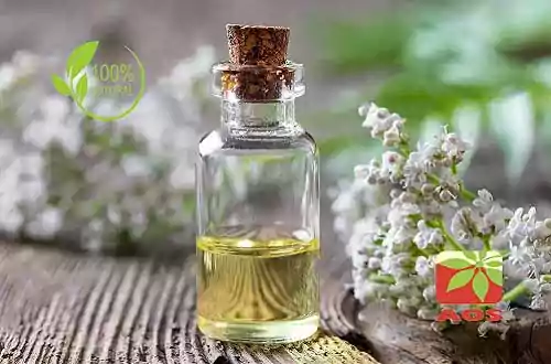 Valerian Root Oil