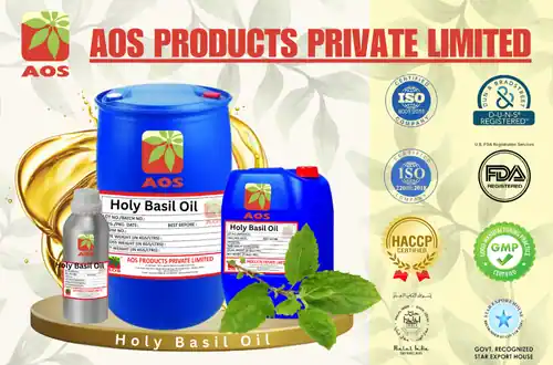 Holy Basil Oil